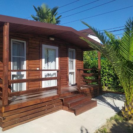 Guesthouse Mira Gagra Ngoại thất bức ảnh