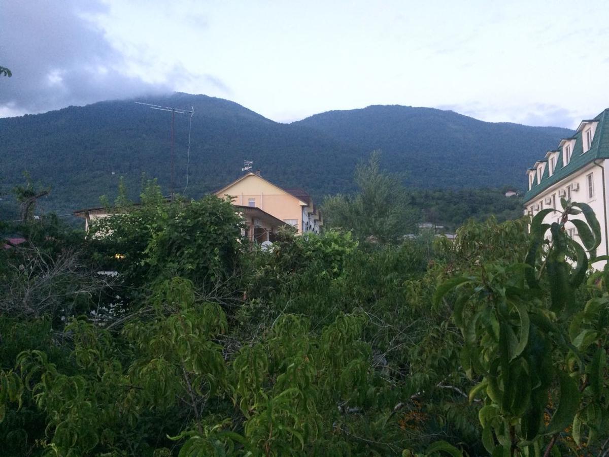 Guesthouse Mira Gagra Ngoại thất bức ảnh
