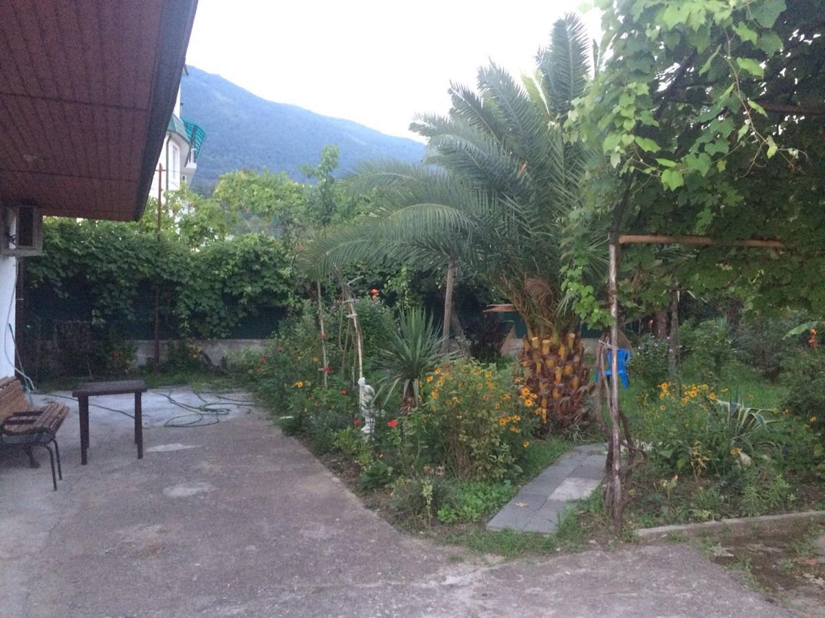 Guesthouse Mira Gagra Ngoại thất bức ảnh