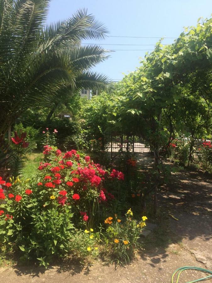 Guesthouse Mira Gagra Ngoại thất bức ảnh