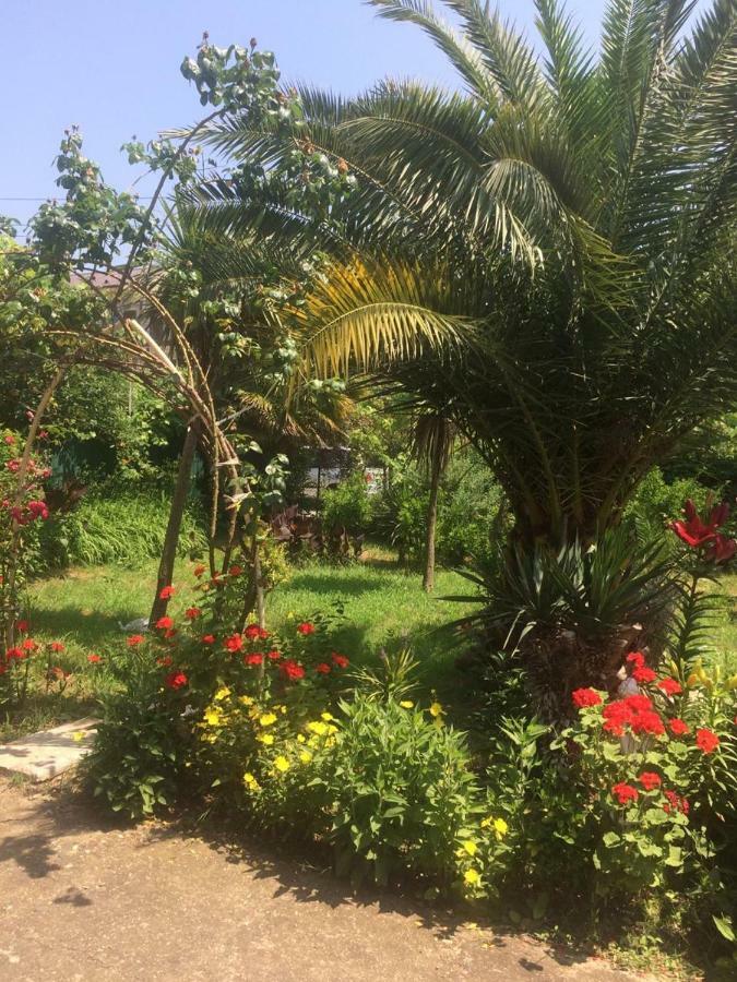 Guesthouse Mira Gagra Ngoại thất bức ảnh