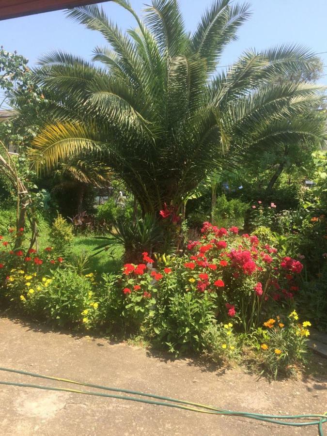 Guesthouse Mira Gagra Ngoại thất bức ảnh