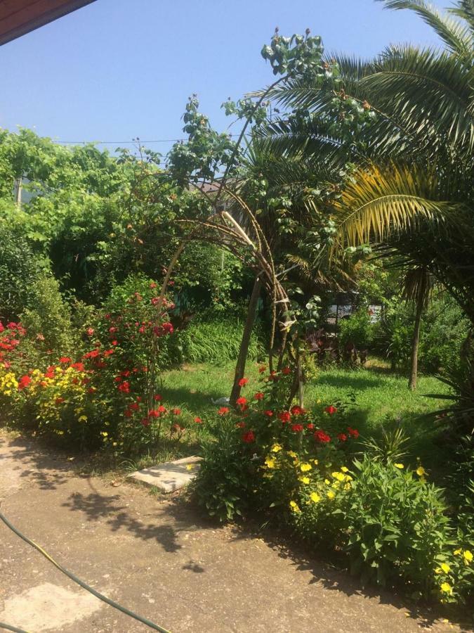 Guesthouse Mira Gagra Ngoại thất bức ảnh